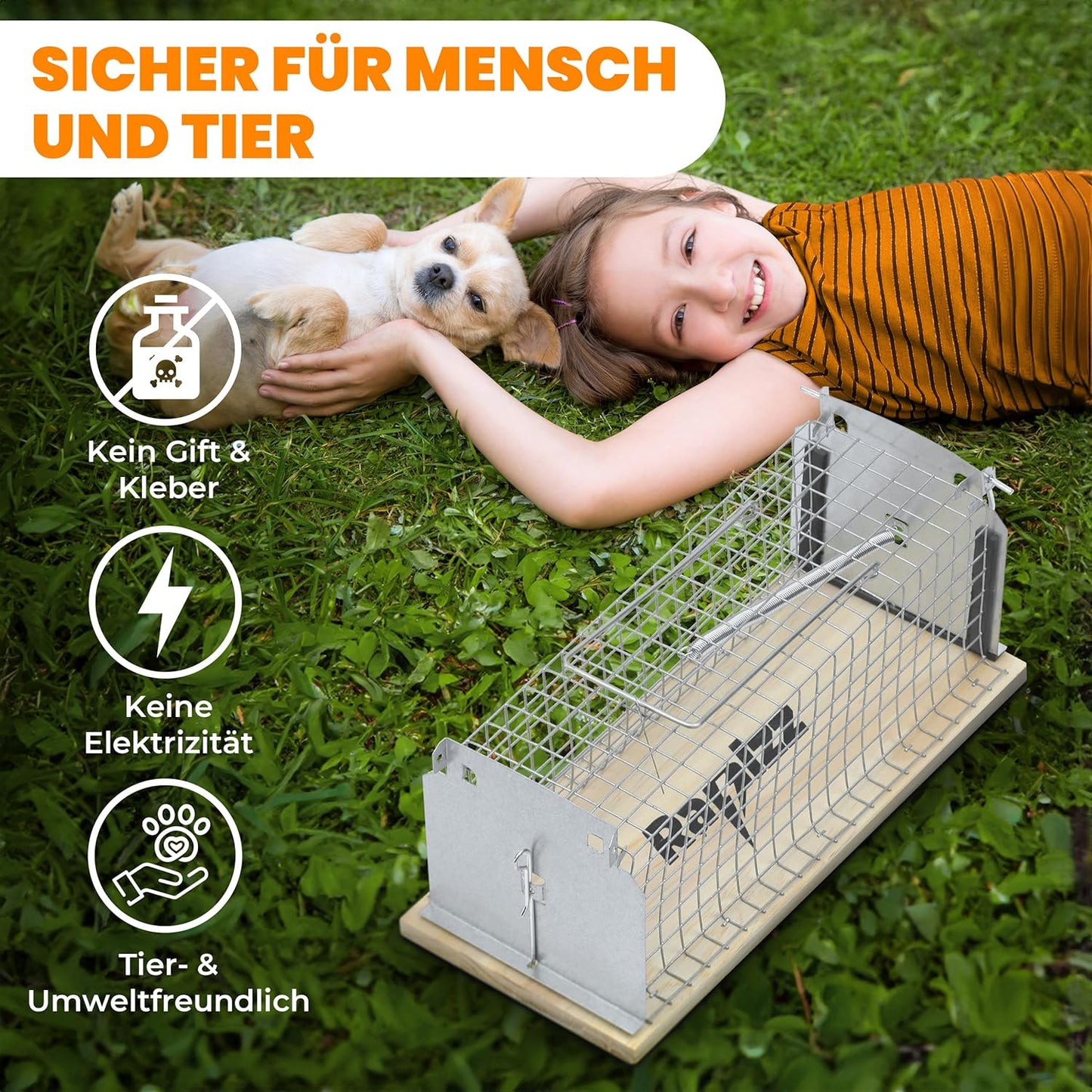 Lebenslang - Rattenfalle Holz - 29×12×12 cm - 2er-Set - tierfreundliche Lebendfalle - inklusive Handschuhe