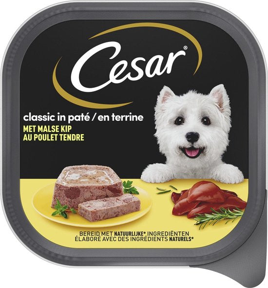 Cesar Meal Pouches Multipack Adult In Jelly - Hundefutter - 4 x 12 Stück