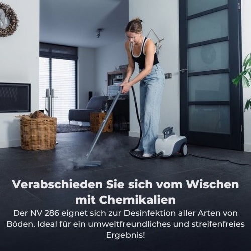 Techweise TS1 Dampfreiniger - 100+ Oberflächen - 45 Minuten - 3,6 bar - grau