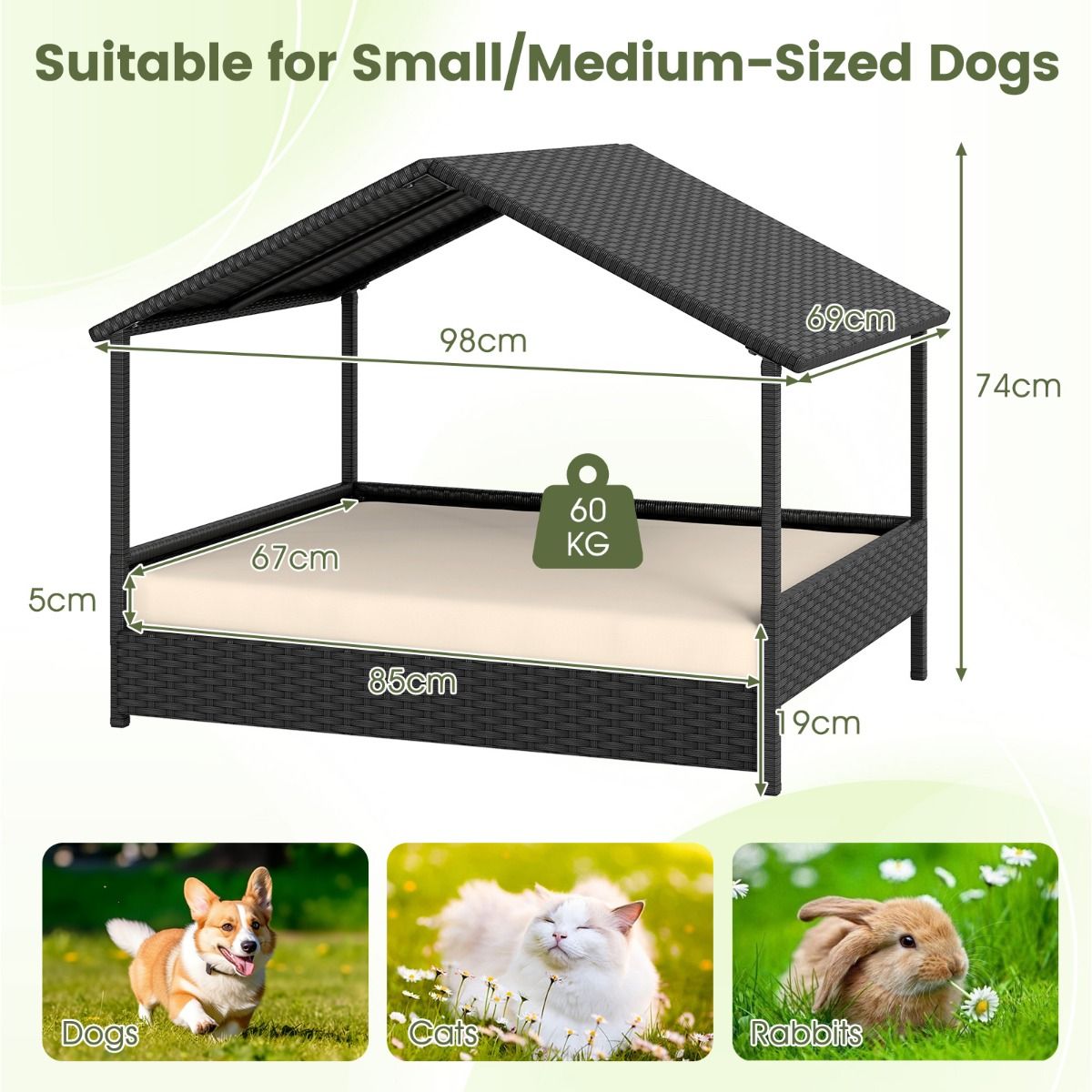 Coast Hundekorb mit Baldachin – Erhöhte Rattan-Hundecouch – Inklusive Kissen – Beige