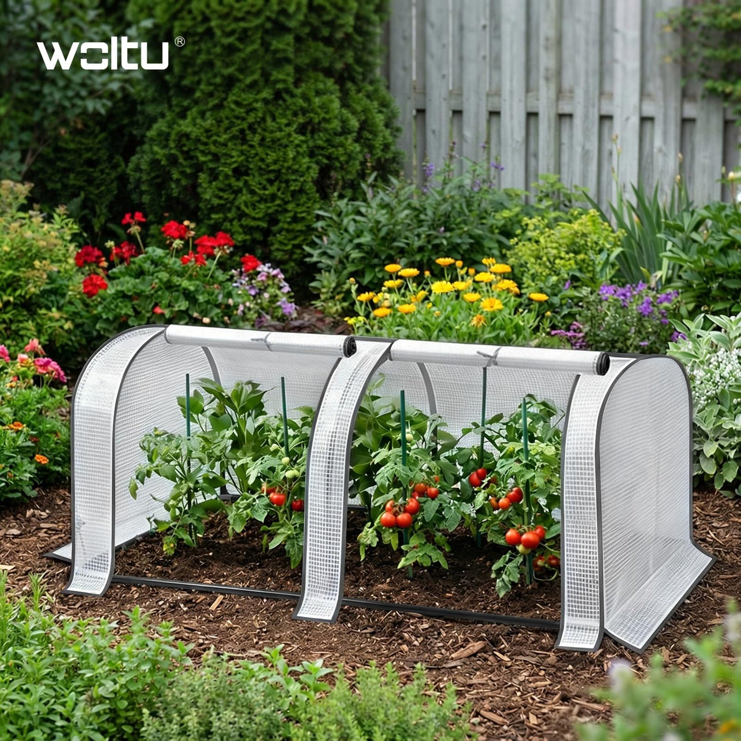 WOLTU Tomatengewächshaus – Mini-Gewächshaus für Garten und Balkon – wasserdicht mit UV-beständiger PE-Netzfolie – 130 x 60 x 50 cm – weiß