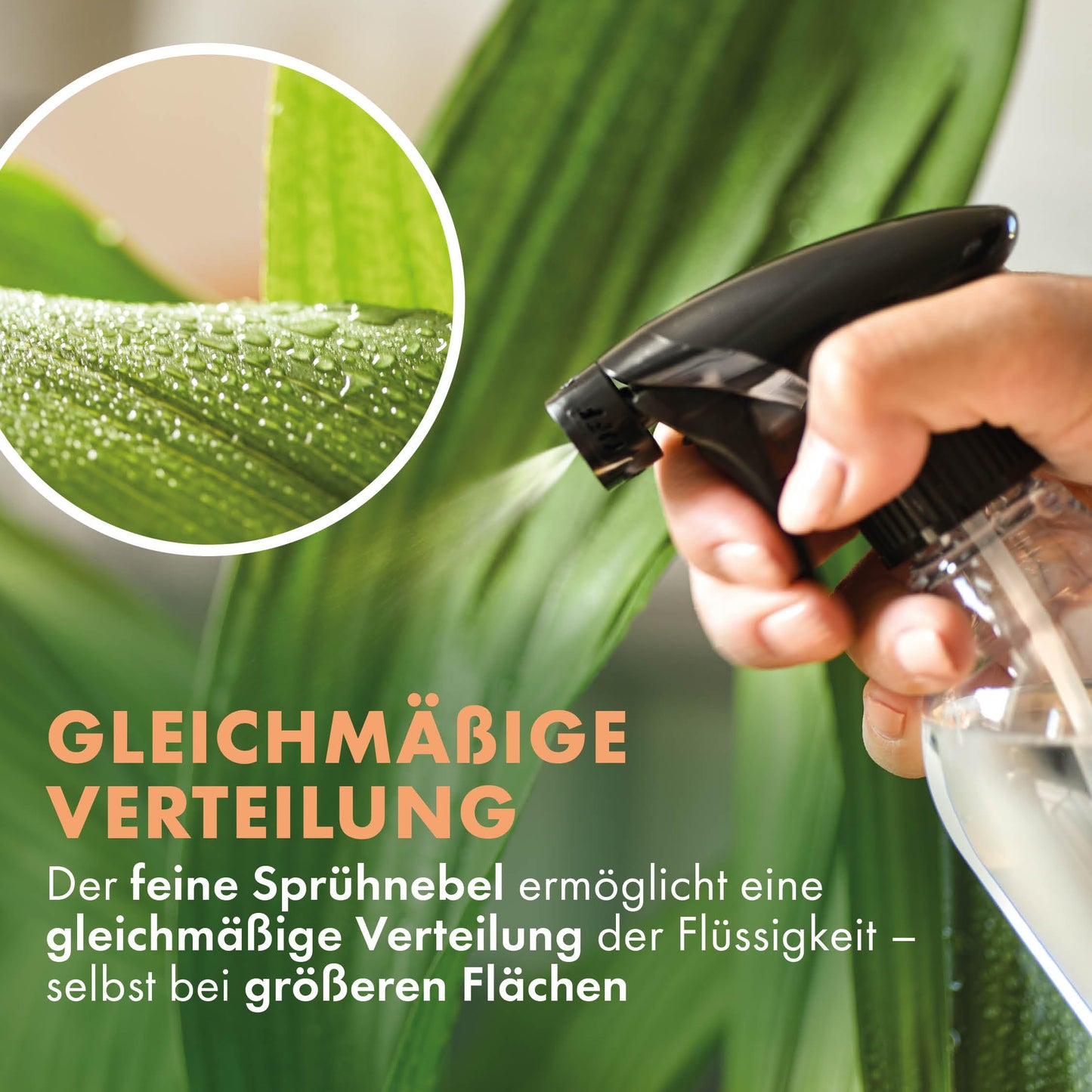 Lavandola LV-S-SF-750 – Sprühflaschen-Set, 3 Stück – 750 ml, transparent, PE – feiner Sprühnebel und auslaufsicher