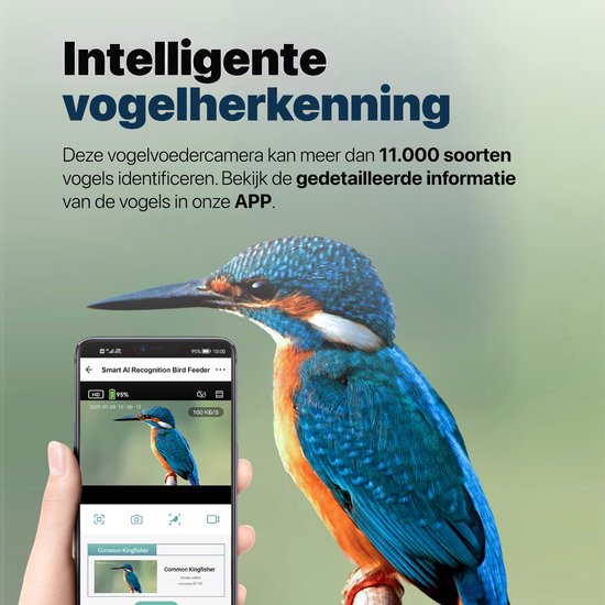 BOME Vogelhäuschen – Doppelte 2K-HD-Kamera – Futtersilo – KI-Vogelerkennung – Mit Solarmodulen
