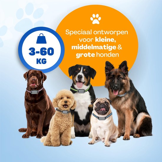 Vulpes Goods® Anti-Bell-Halsband MAX - Erziehungshalsband ohne Schock - Anti-Bell-Gerät für kleine und große Hunde - wasserdicht - wiederaufladbar - Vibration und Audio - 3 zusätzliche Halsbänder