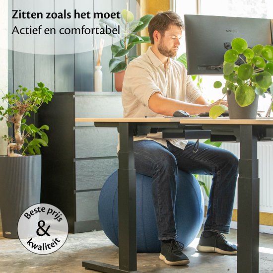Bckz Sitzball Büro und Zuhause 75 CM - Luxus-Yogaball - Sitzball mit Hülle - Ergonomischer Bürostuhlball - Leinen Hellgrau