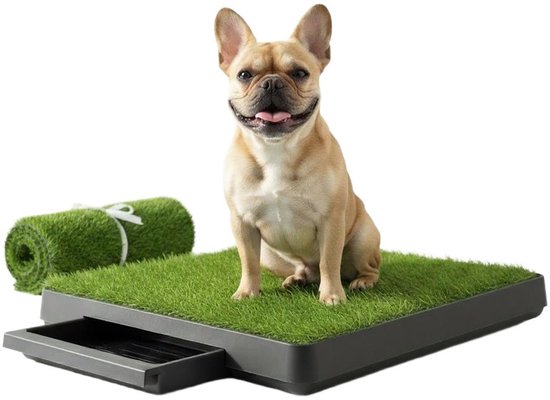 Pawesome – Hundetoilette aus Kunstrasen – Toilette für Hunde mit Rasenmatte – Welpenunterlagen – Trainingsunterlagen – Toilette für draußen – Stubenreinheitstraining – Inklusive 2 Rasenmatten