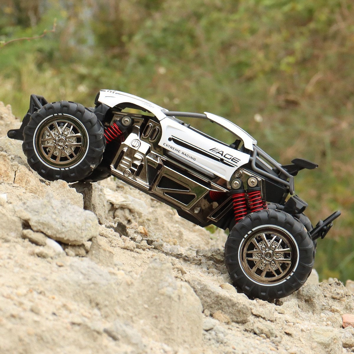 Fuegobird RC Car - RC Fahrzeug - Hochgeschwindigkeits-Spielzeugauto - Gemüse