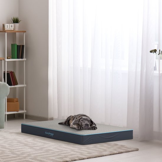 CozySense® - Orthopädisches Hundekissen 60 X 40 Cm - Größe S - Wasserdicht - Geeignet als Sitzkissen & Hundebett