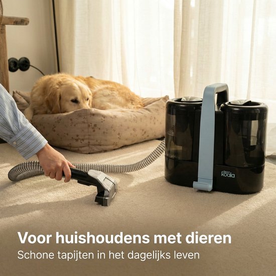 CleanKoala Teppichreiniger – Für über 100 verschiedene Materialien – Fleckenentferner – Teppiche, Matratzen, Möbel und mehr