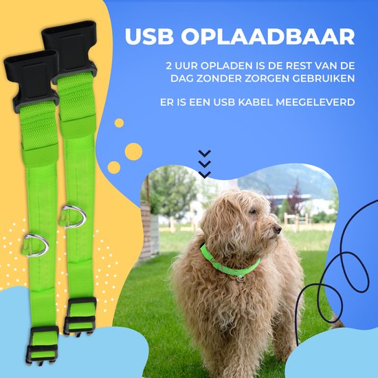 Dutchwide Leuchthalsband Hund - Extra Stark - XS 28 cm bis 38 cm - Hundehalsband - Schnapphalsband - Verstellbar - Reflektierend
