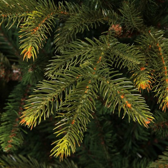 Black Box Trees Frasier Baum – Weihnachtsbaum in natürlicher Form – Weihnachtsdekoration für den Innenbereich – Kunstbaum mit Scharnierkonstruktion – Höhe 185 x Durchmesser 124 cm – Grün
