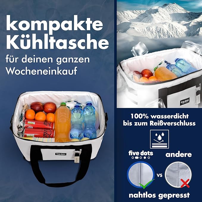 Five Dots Kühltasche 17L - Grau