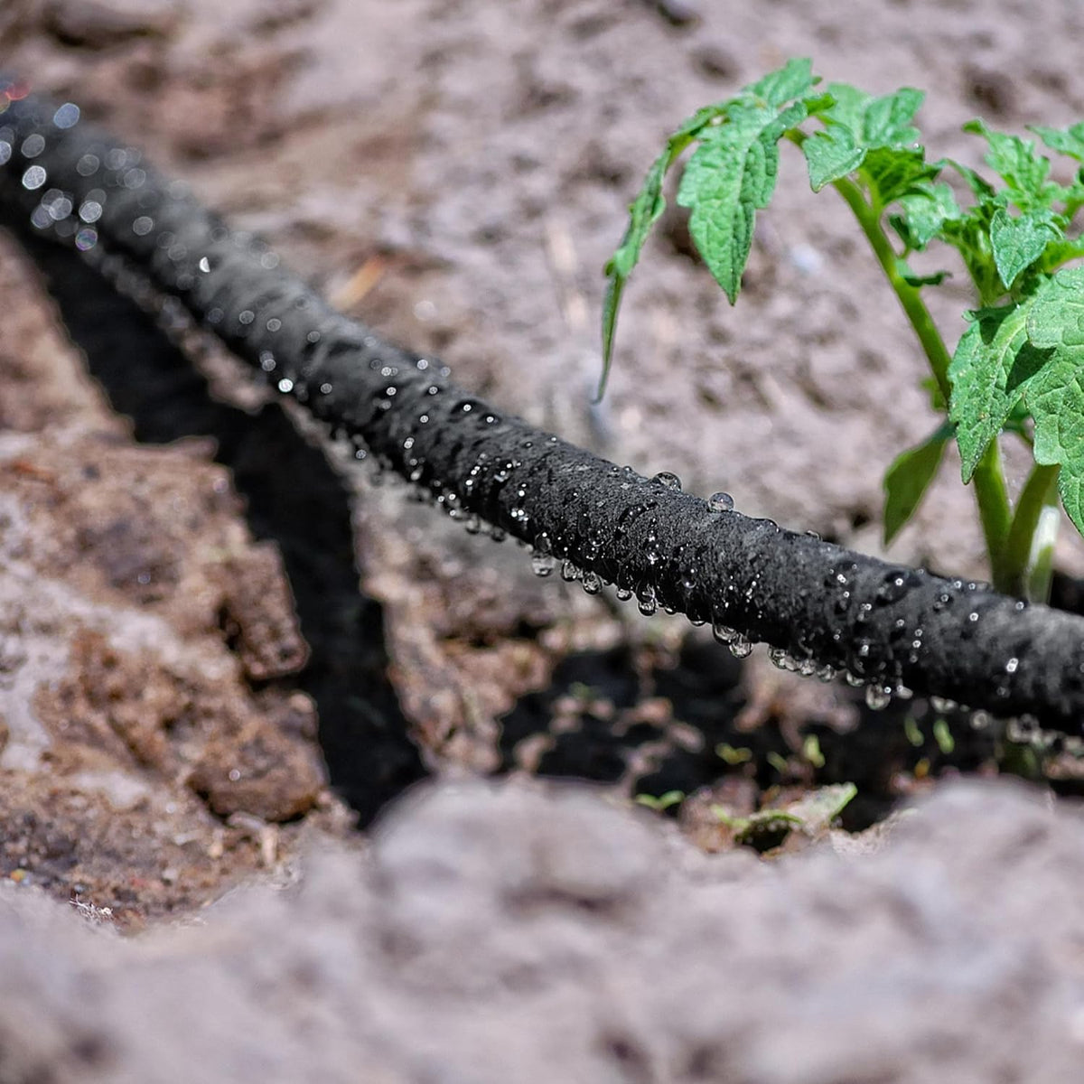 Yaheetech Tropfschlauch 50 m – 16 mm, mit Anschlussset für die Gartenbewässerung