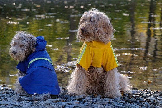 Dutchwide - Hundemantel - Regenmantel Hund - Blau - Größe S