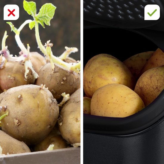 Tupperware-Set – PotatoSmart 8,3 l, OnionSmart 5,5 l & GarlicSmart 2,3 l – Innovative Behälter für Kartoffeln, Zwiebeln und Knoblauch mit optimaler Luftzirkulation – Stapelbares Design – Spülmaschinenfest