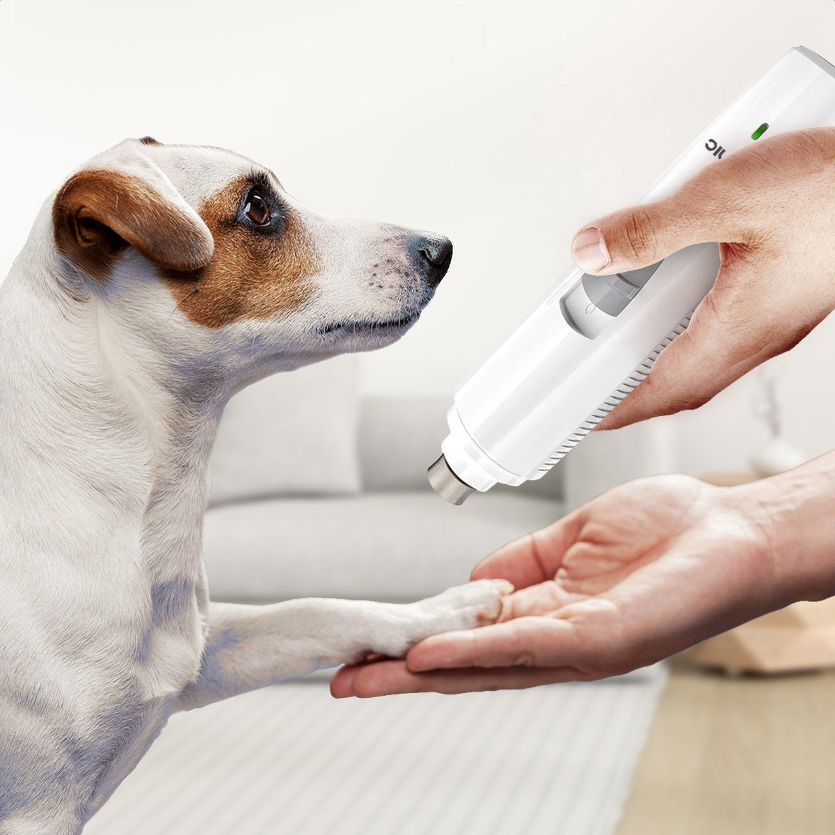 Auronic Elektrische Nagelfeile - für Tiere - wiederaufladbar - kabellos - Diamantfeilenkopf - Hund/Katze - weiß