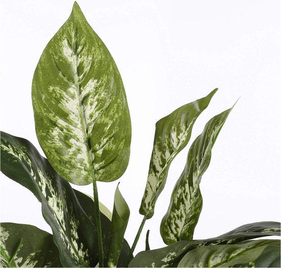 Mica Decorations Dieffenbachia Künstliche Pflanze im Blumentopf Stan - H70 x Ø55 cm - Grün