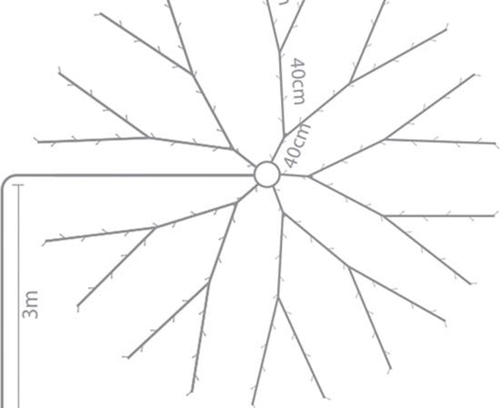 Speed Light LED - 330 LEDs - weiß - grünes Kabel - Modulator - 24 V (für Bäume bis zu 240 cm)