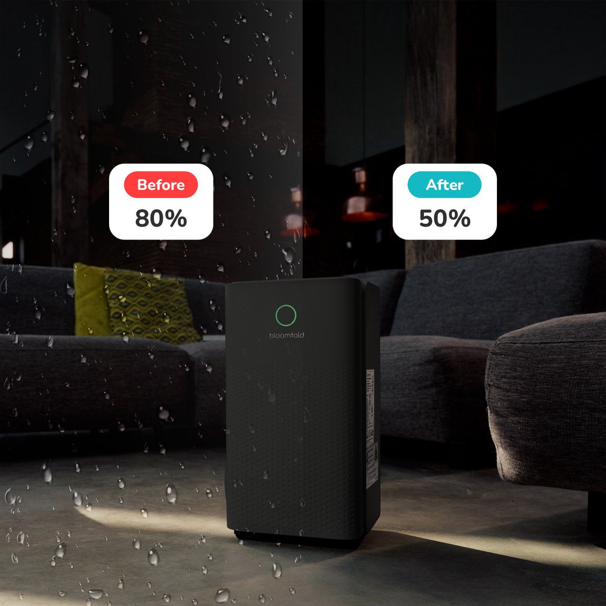 Bloomfold Luftentfeuchter - 12L pro Tag - Wohnzimmer, Schlafzimmer, Keller & Badezimmer - Luftentfeuchter - Schwarz