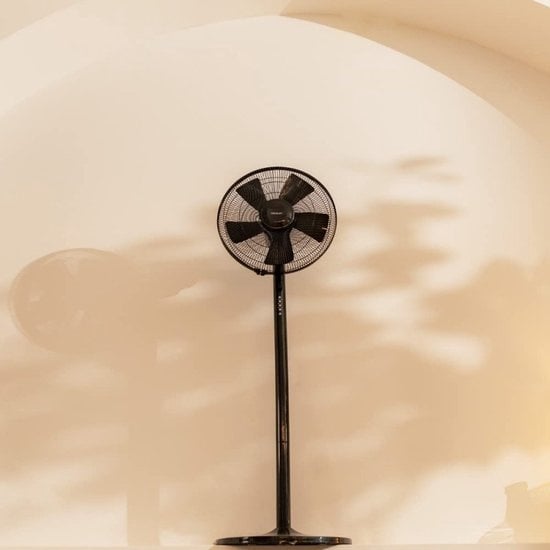 Cecotec 05875, Haushaltsventilator mit Flügeln, Schwarz, Boden, Tisch, 60Â°, Tasten, 7 Stunden