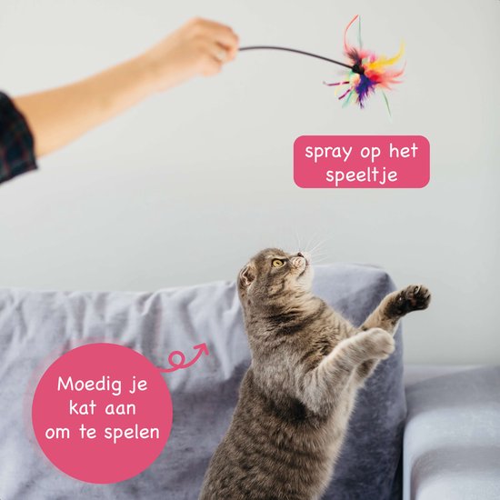 Katzenminze Spray - 100% natürlich - Katzenminze Spray - Katzenminze Spielzeug - Baldrian - Katze - Katzen - Für Kratzbaum - Spielzeug - Zuhause - Korb