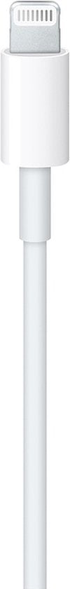 Apple Original USB-C zu Lightning Kabel - 100cm