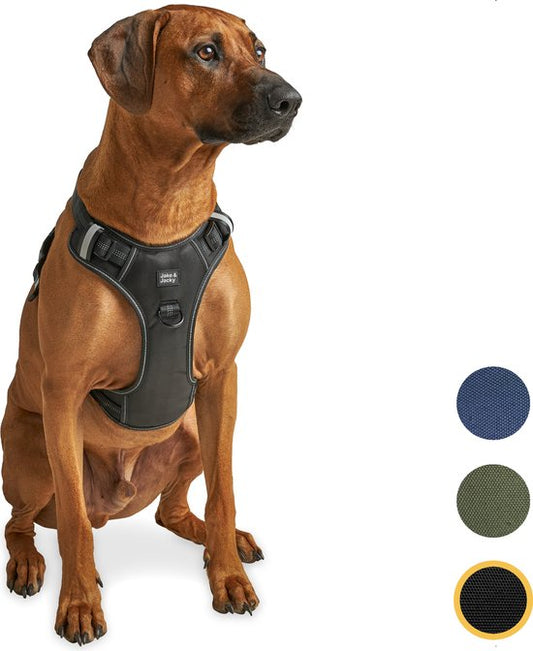 Jake and Jacky - Hundegeschirr - Y-Geschirr Hund - Reflektierend - Größe L - Schwarz