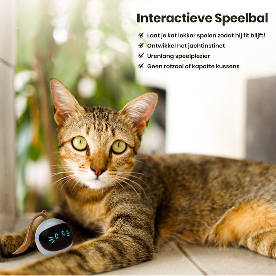 Otiume - Interaktiver Katzenball - Selbstrollend - USB Wiederaufladbar - weiß
