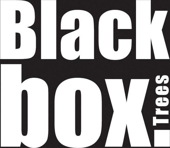 Black Box Trees Creston Set aus 2 Weihnachtsbäumen und 1 Kranz mit LED-Lichtern - Grün