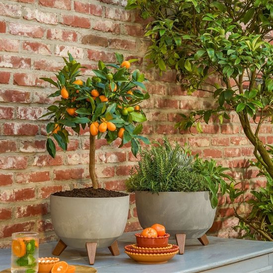 Mica Decorations Doppio Pflanzkübel auf Füßen – 18,5 x Ø29 cm – Pflanzkübel für den Außenbereich – Blumenkästen für den Balkon – recycelter Kunststoff – grau