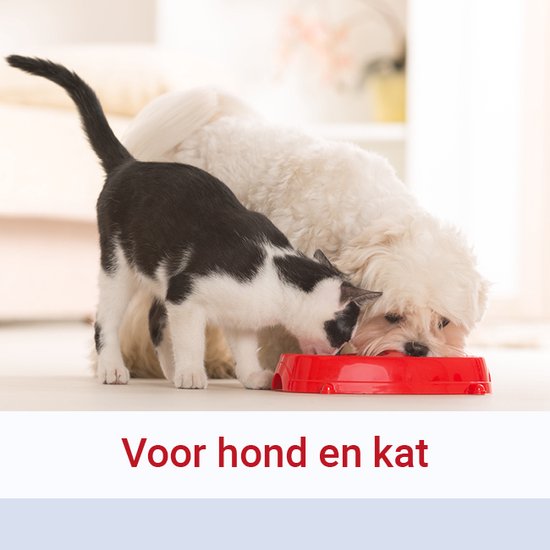 Pharmox Dog & Cat Glucosamine 1000 ml - Wichtiger Baustein für Hunde und Katzen