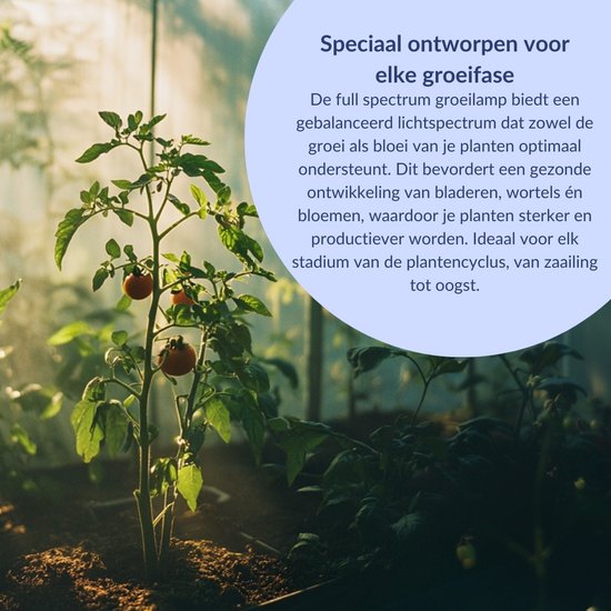 a sunny day LED Wachstumslicht - Wachstumslampe - Vollspektrum - grow & bloom - Wachstumslicht - Wachstumslampe Vollspektrum - 45 Watt - 30 x 30 cm - 225 LEDs
