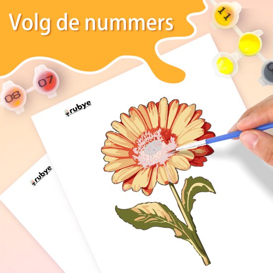 Rubye® Malen nach Zahlen Erwachsene - Rose & Sonnenblume - Inklusive Farbe und Pinsel - Leinwand Malerei Leinwand - Farben nach Zahlen - Doppel Set - 15x20cm