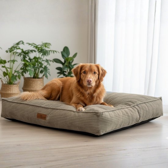 By Cee Cee Orthopädisches Hundekissen - Orthopädisches Hundekörbchen - Hundekissen XXL - Schaumstoffflocken Füllung - Gerippter Stoff Mocha Taupe - 120x80x18cm - Arlo