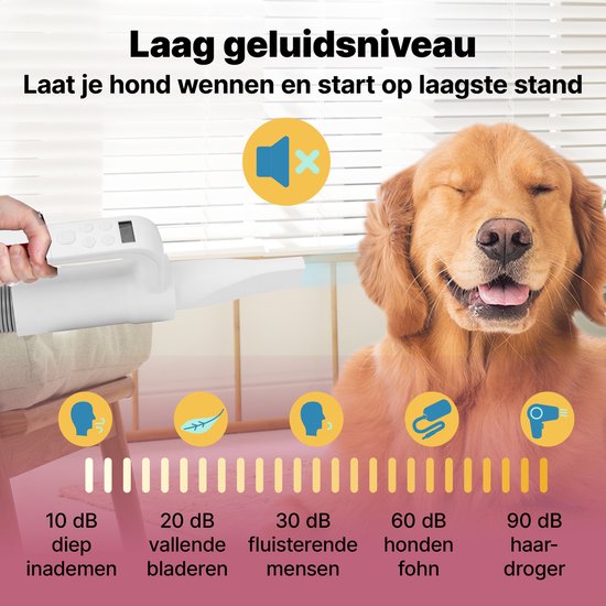 Jake and Jacky Professioneller Hundehaartrockner - Wassergebläse für Hunde - mit 4 Aufsätzen - Hundetrockner - Leises Design