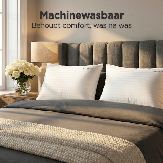 CozySense® Kissen - 2er Set - 50x70 CM - Premium Schlafkissen - 100% Baumwollbezug - Kopfkissen - Stützkissen für Seiten-, Bauch- und Rückenschläfer