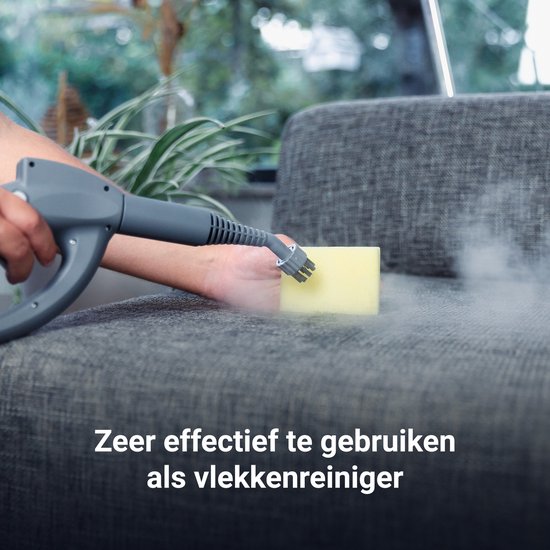 Techweise 16-in-1 Dampfreiniger - 45 Minuten Dampfen - 4 bar - Teppichreiniger - Reinigungsmaschine - Fleckenreiniger