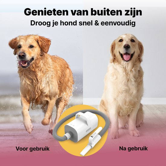 Jake and Jacky Professioneller Hundehaartrockner - Wassergebläse für Hunde - mit 4 Aufsätzen - Hundetrockner - Leises Design