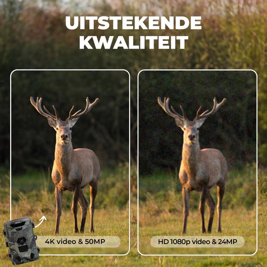 Denver Wildkamera mit Nachtsicht - 4K Ultra HD - 50MP - LCD Bildschirm - Wasserdicht - WCT8016