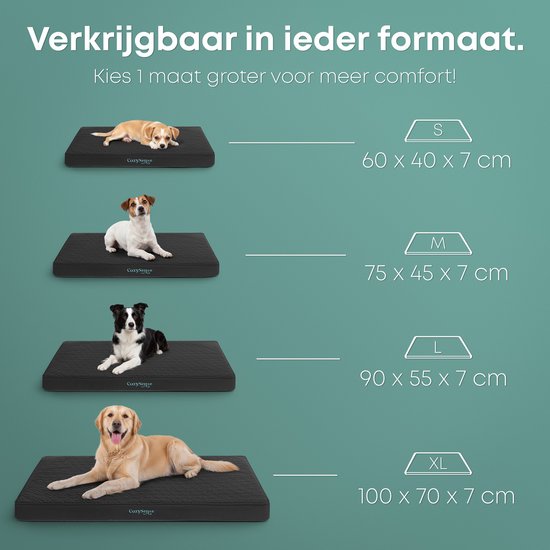 CozySense® Orthopädisches Hundekissen 60 X 40 Cm - Größe S - Wasserdicht - Geeignet als Sitzkissen & Hundebett - Waschbarer Bezug - Schwarz