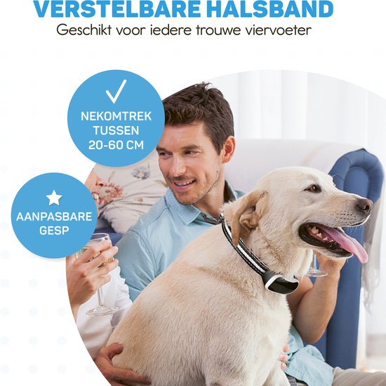 Anti-Bell-Halsband Pro mit LED - Erziehungshalsband ohne Schock - Anti-Bellgerät für kleine und große Hunde - wasserdicht, wiederaufladbar und beleuchtet - Vibration und Audio