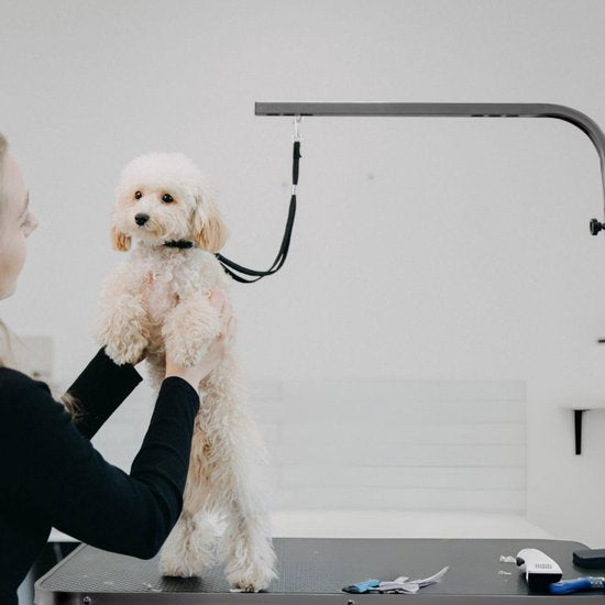 Animali Trim Table - Hundepflegetisch - Hundepflegetisch - Zusammenklappbar - Inklusive Leinenoption - Schwarz