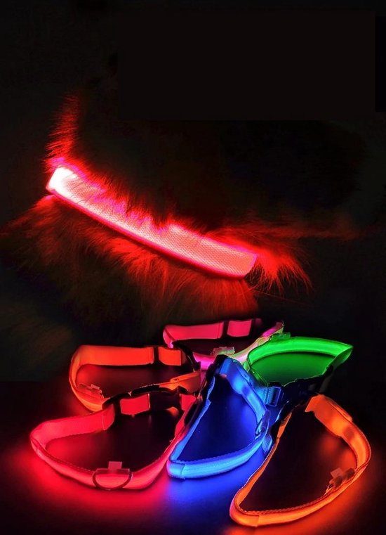 Leuchthalsband LED Größe XL 42 - 56 cm USB Wiederaufladbares Hundehalsband Welpenleine - Blau Hund Katze Kitten Katze - Dutchwide