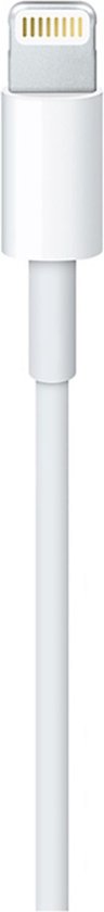 Apple Original USB-C zu Lightning Kabel - 100cm