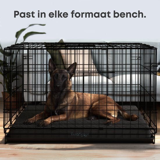 CozySense® - Orthopädisches Hundekissen 100 X 70 Cm - Größe XL - Wasserdicht - Geeignet als Sitzkissen & Hundebett - Schwarz
