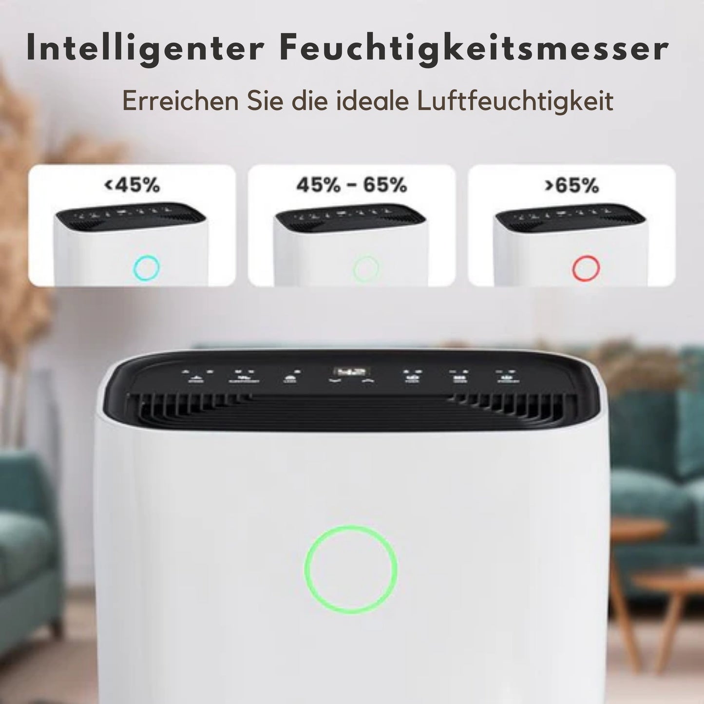 Auronic Luftentfeuchter - 16 l Kapazität pro Tag - Wash-Dry-Funktion - Nachtmodus - Für Schlafzimmer & Wohnzimmer - Weiß & Kunststoff