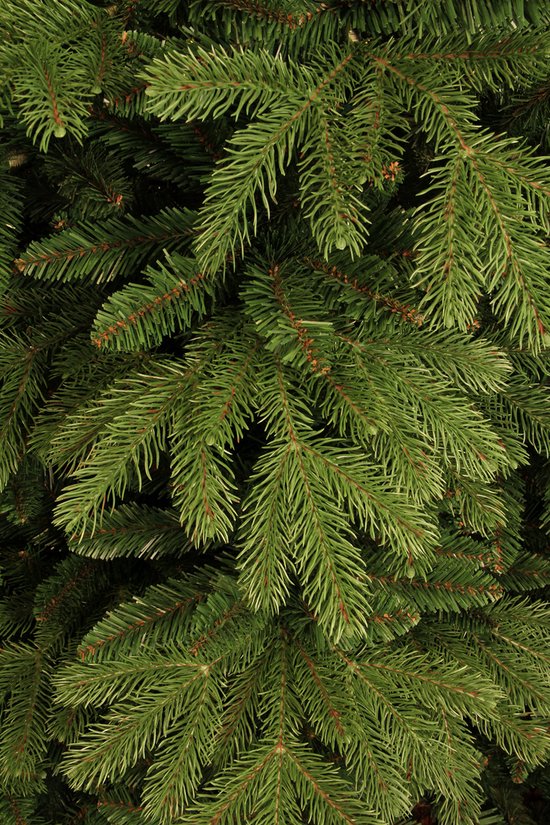 Black Box Trees Brampton Künstlicher Weihnachtsbaum - H185 x Ø127 cm - Grün