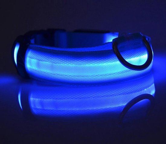 Leuchthalsband LED Größe XL 42 - 56 cm USB Wiederaufladbares Hundehalsband Welpenleine - Blau Hund Katze Kitten Katze - Dutchwide