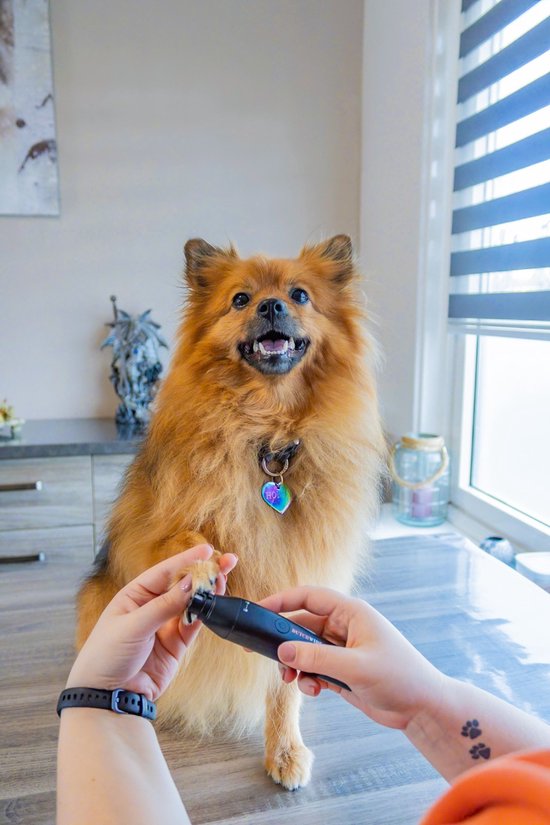 Dutchwide Hundekatzenschere - Für dickes Fell - Flüsterleise Schermaschine - Kabellos - Tierpflege-Set