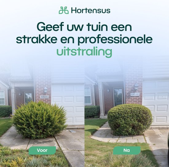 Hortensus Mini-Kettensäge - Inkl. Akku & Koffer - Akku 21 V – 10 cm